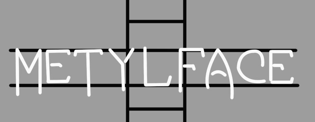 Custom Custom Metylface Neon Sign