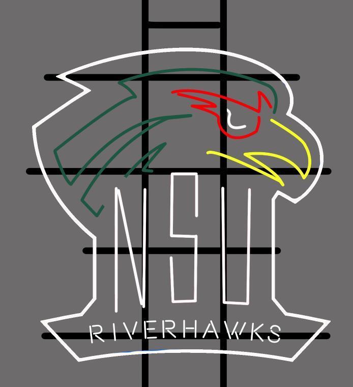 Custom Northeastern State Riverhawks NCAA Sports Neon Sign Tube Neon Light Tube Neon Light