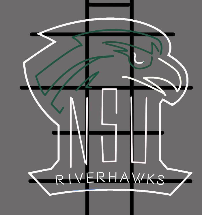 Custom Northeastern State Riverhawks NCAA Sports Neon Sign Tube Neon Light Tube Neon Light
