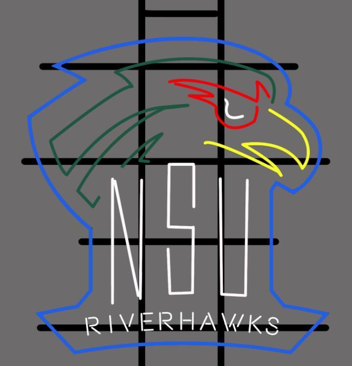 Custom Northeastern State Riverhawks NCAA Sports Neon Sign Tube Neon Light Tube Neon Light