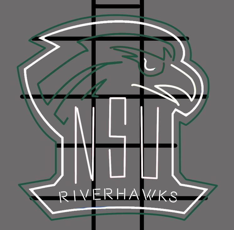 Custom Northeastern State Riverhawks NCAA Sports Neon Sign Tube Neon Light Tube Neon Light