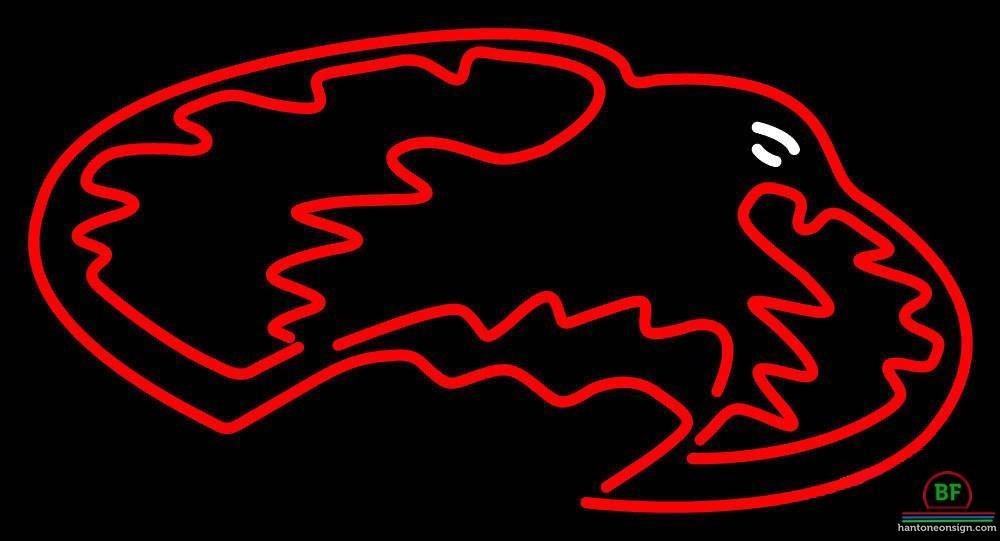 Custom Denver Pioneers Neon Sign NCAA Teams Neon Light