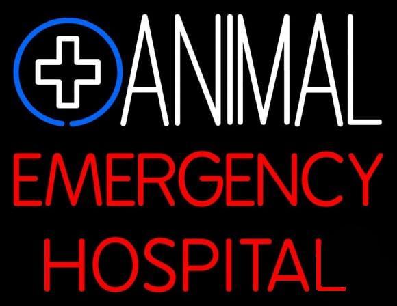Custom Animal Emergency Hospital Neon Sign Real Neon Light
