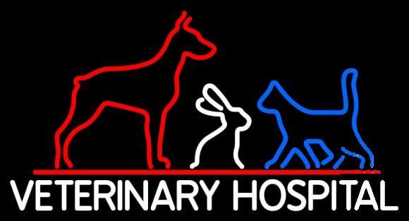 Custom Veterinary Hospital Neon Sign Real Neon Light