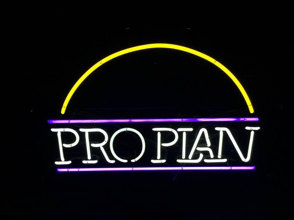 Custom Pro Plan Neon Sign Tube Neon Light