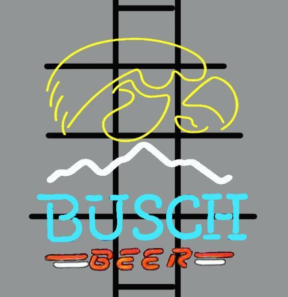 Custom Busch Beer iowa hawkeyes Neon Sign NCAA Sports Neon Light Tube Neon Light