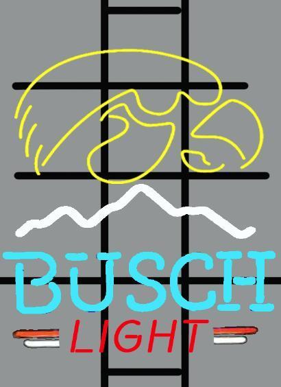 Custom Busch Light iowa hawkeyes Neon Sign NCAA Sports Neon Light Tube Neon Light